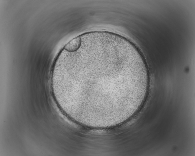 X0000114601517200911301411