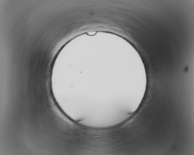 X0000114601518200911301411