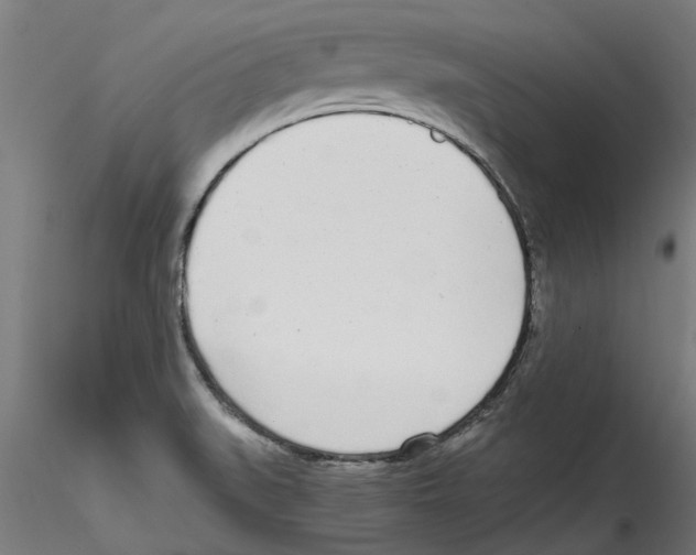 X0000114601519200911301411