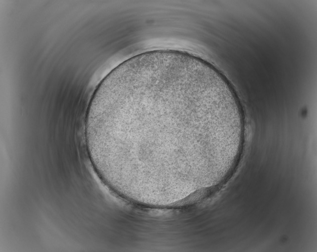 X0000114601521200911301411