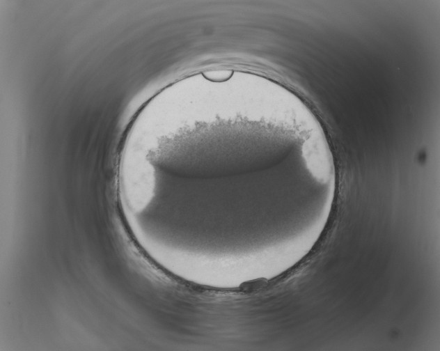 X0000114601522200911301411