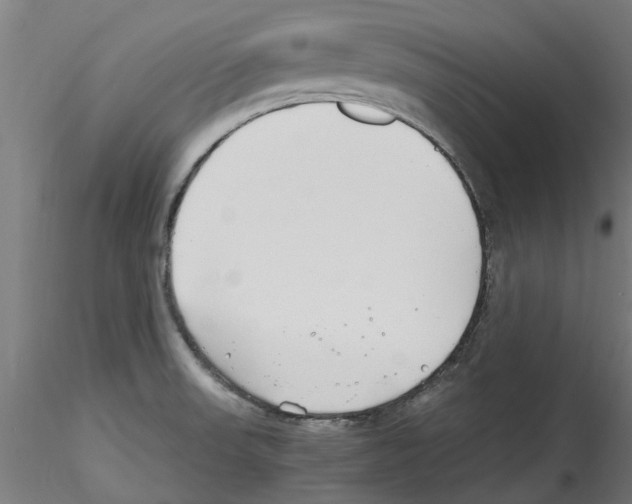 X0000114601523200911301411