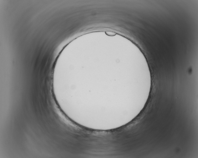 X0000114601526200911301411