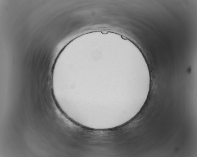 X0000114601527200911301411