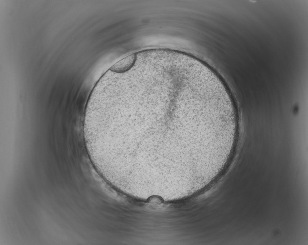 X0000114601529200911301411