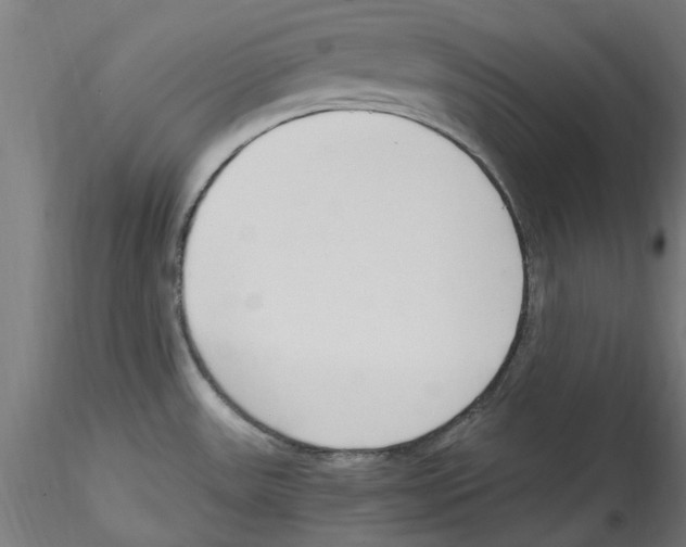 X0000114601531200911301411