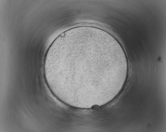 X0000114601533200911301411