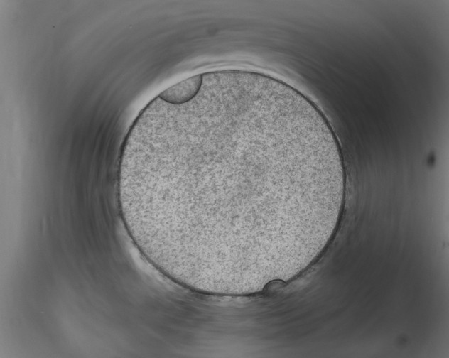 X0000114601534200911301411