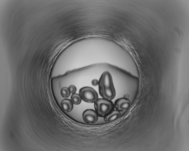 X0000114610001200910200950