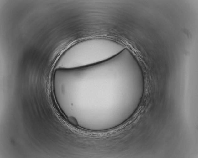 X0000114610002200910200950