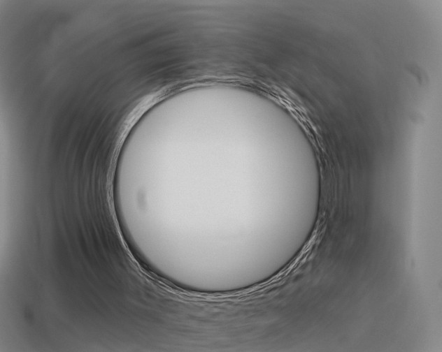 X0000114610003200910200950