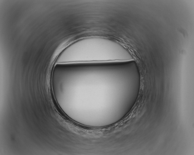 X0000114610004200910200950