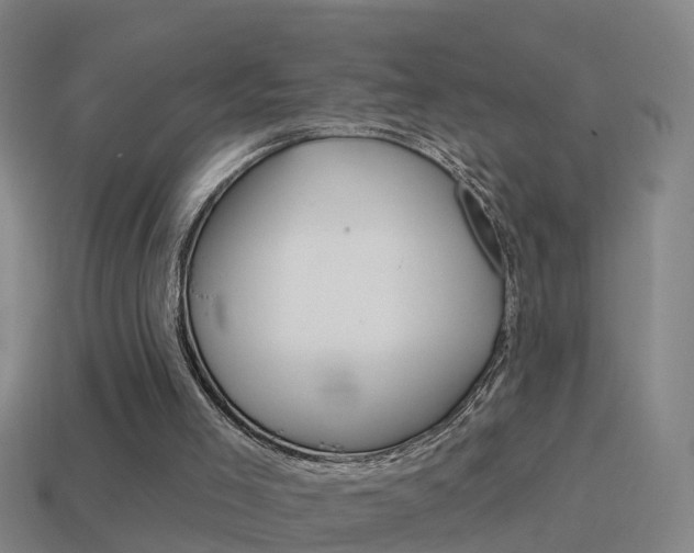 X0000114610005200910200950