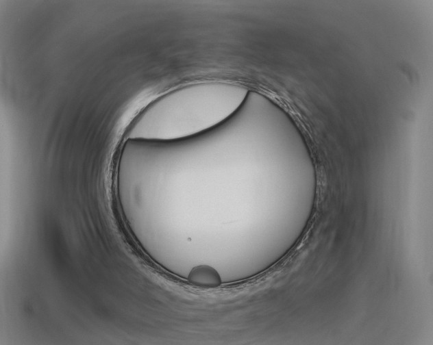 X0000114610006200910200950