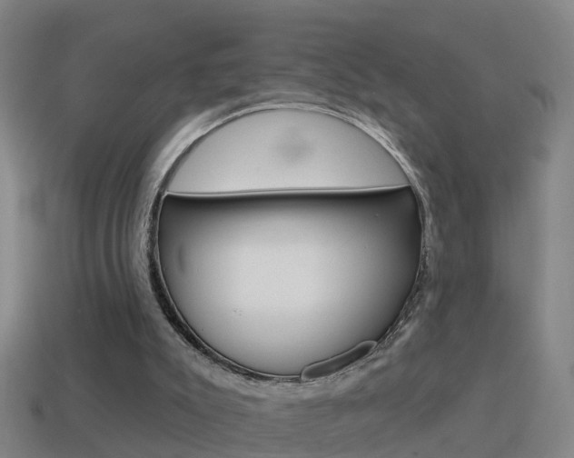 X0000114610007200910200950