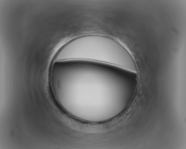 X0000114610008200910200950