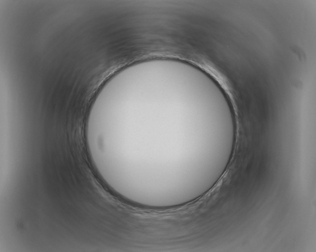 X0000114610009200910200950