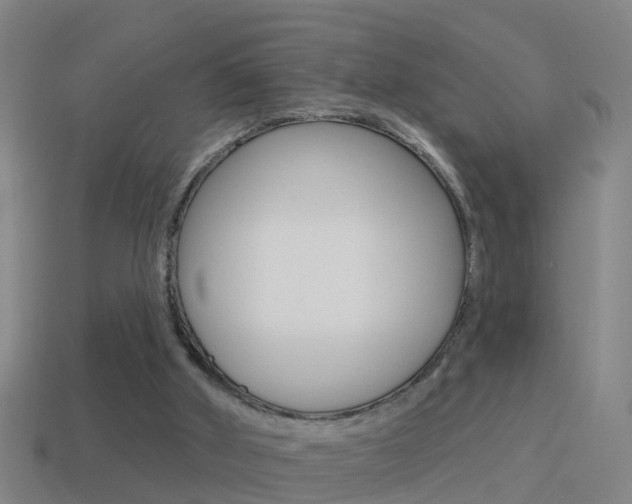 X0000114610010200910200950