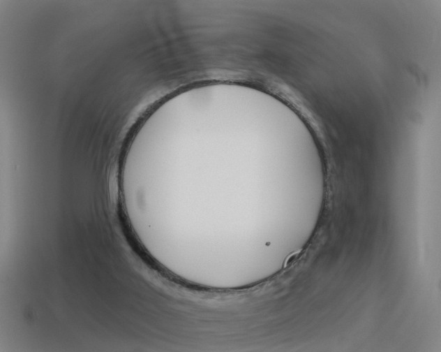 X0000114610011200910200950