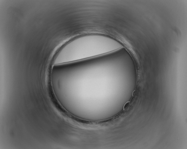 X0000114610012200910200950