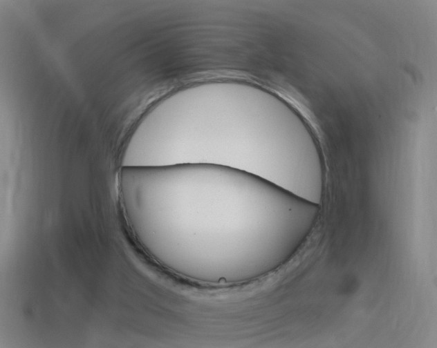 X0000114610013200910200950