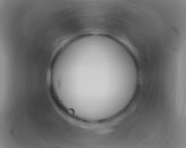 X0000114610014200910200950