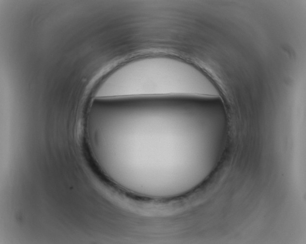 X0000114610016200910200950