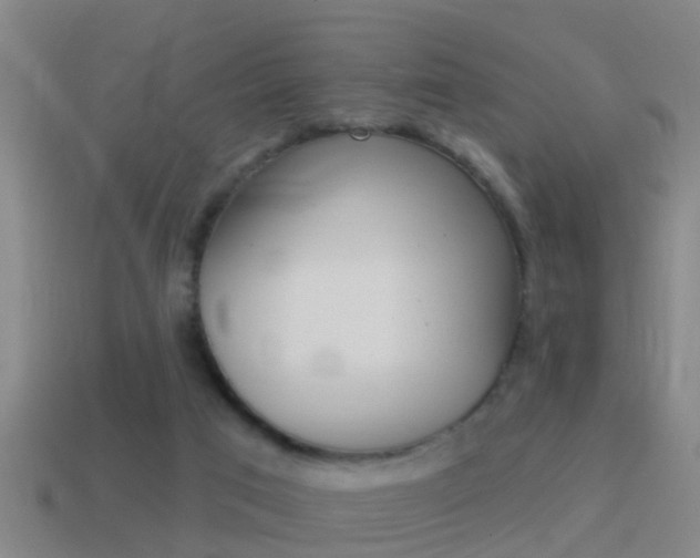 X0000114610017200910200950