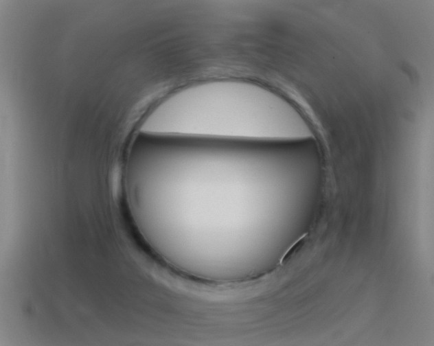 X0000114610019200910200950