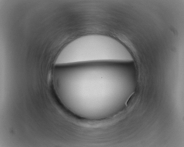 X0000114610021200910200950