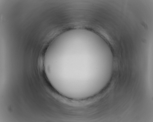 X0000114610022200910200950