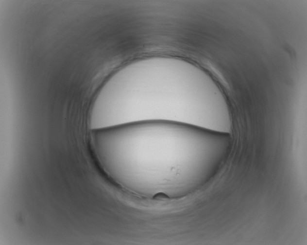 X0000114610023200910200950