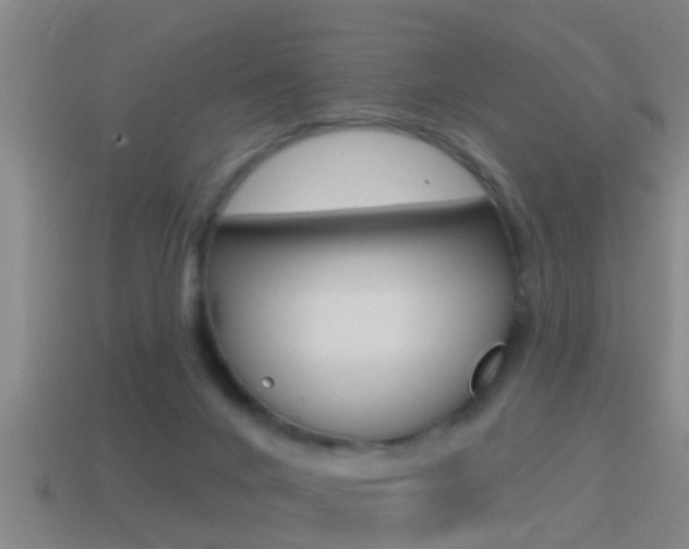 X0000114610024200910200950