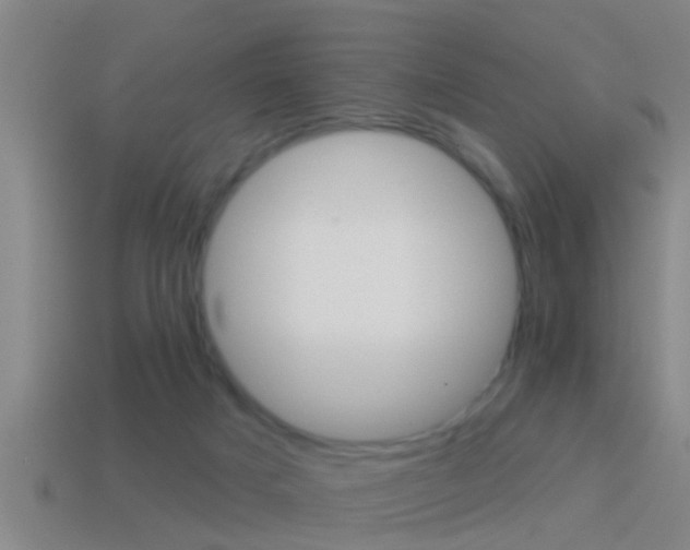 X0000114610025200910200950