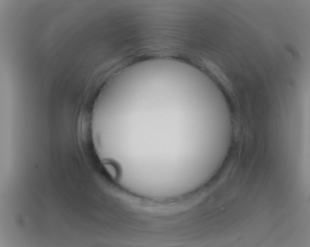 X0000114610026200910200950