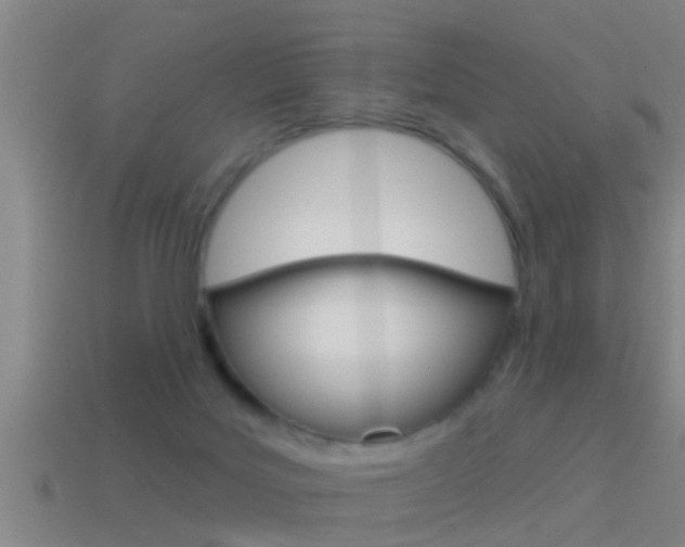 X0000114610027200910200950