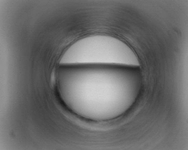 X0000114610028200910200950