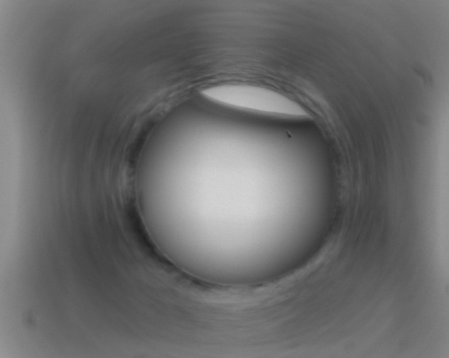 X0000114610029200910200950