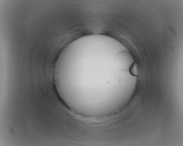 X0000114610030200910200950