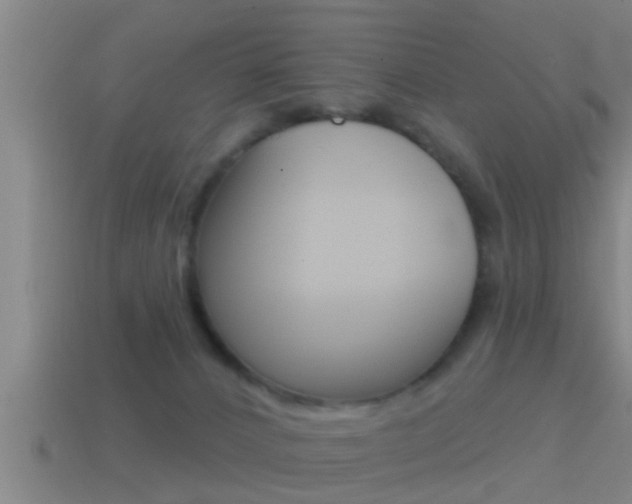 X0000114610032200910200950