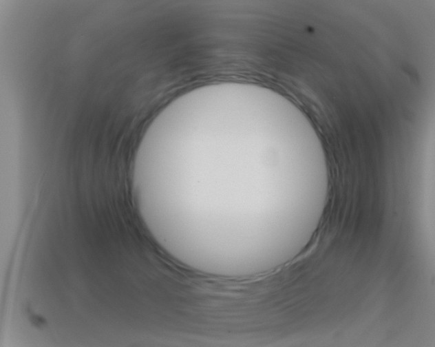 X0000114610033200910200950