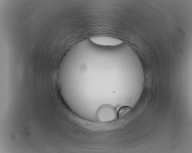 X0000114610034200910200950