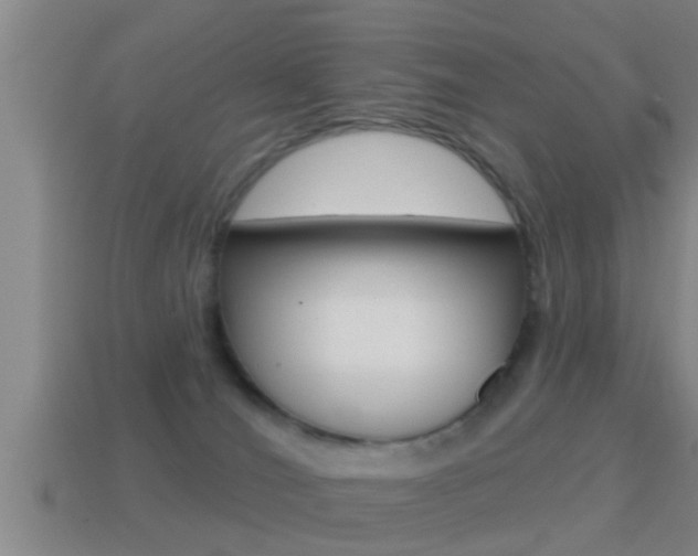 X0000114610036200910200950