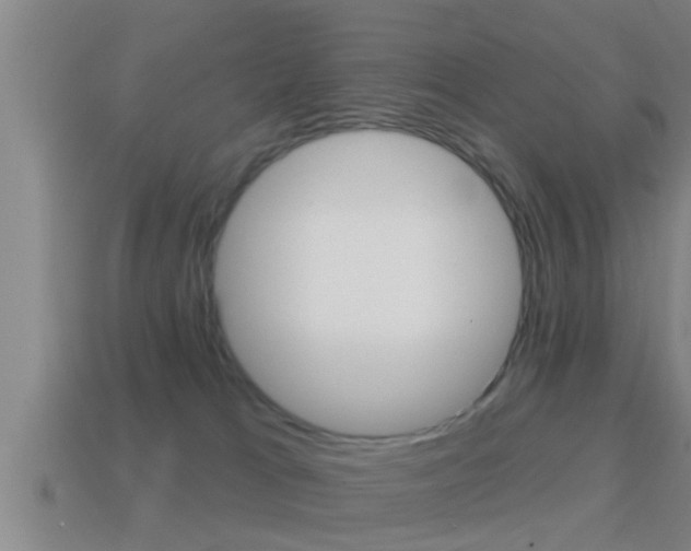 X0000114610037200910200950