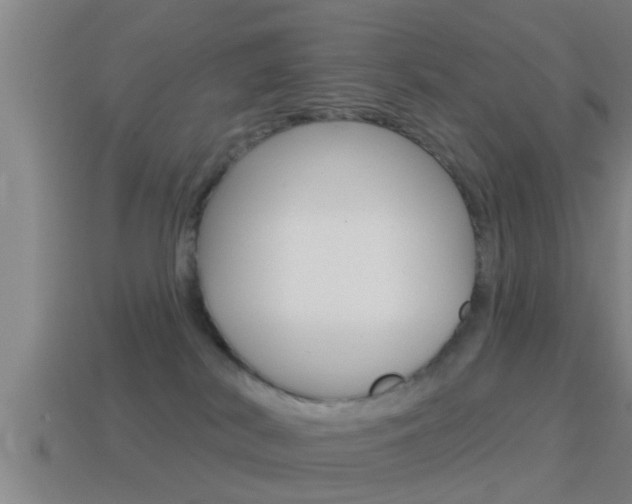 X0000114610038200910200950