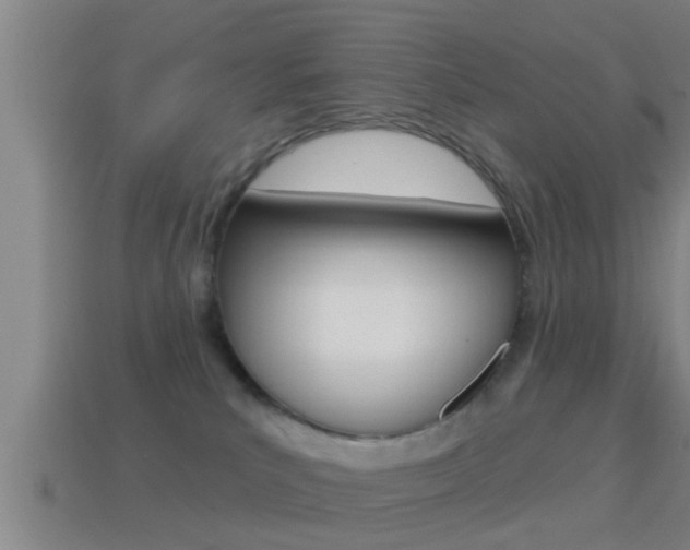 X0000114610039200910200950