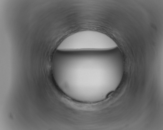 X0000114610040200910200950