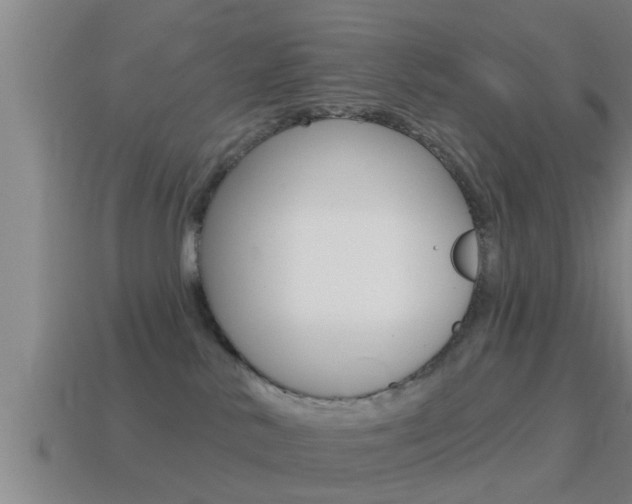 X0000114610042200910200950