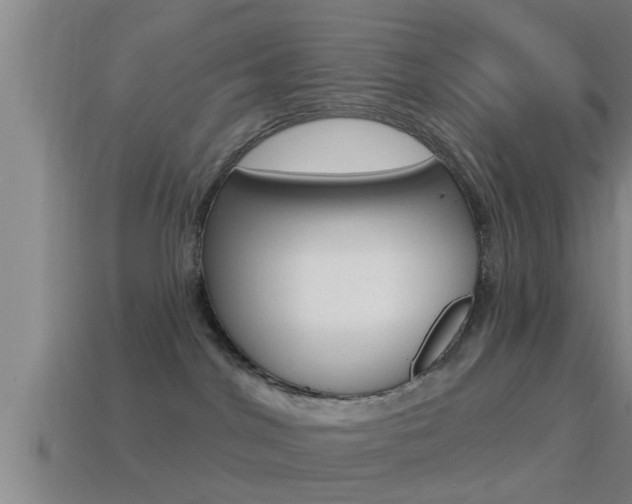 X0000114610044200910200950