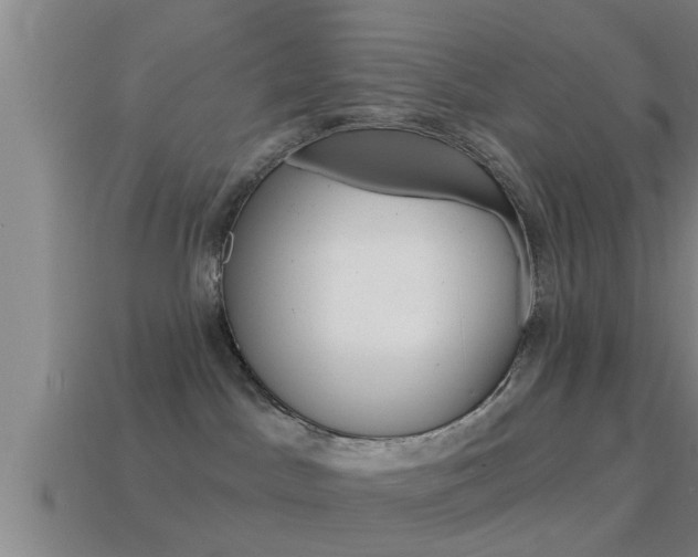 X0000114610045200910200950